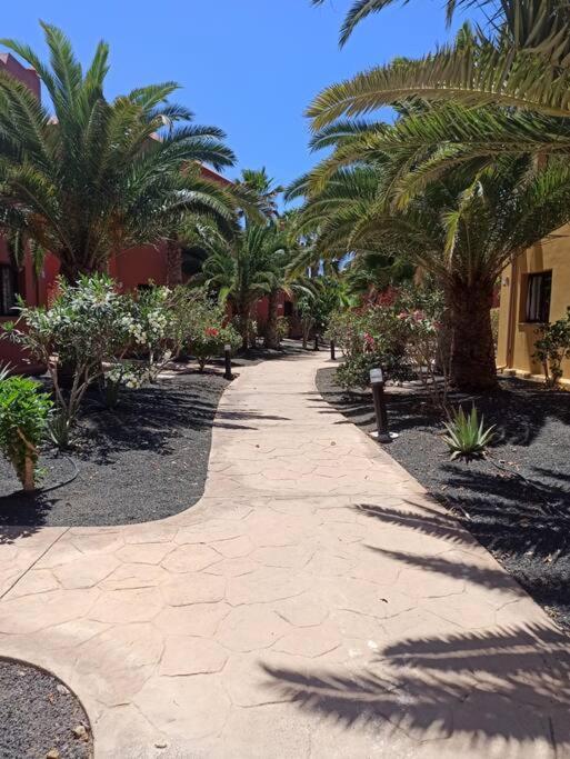 Apartment Cumbre Vieja Fuerteventura Corralejo Esterno foto