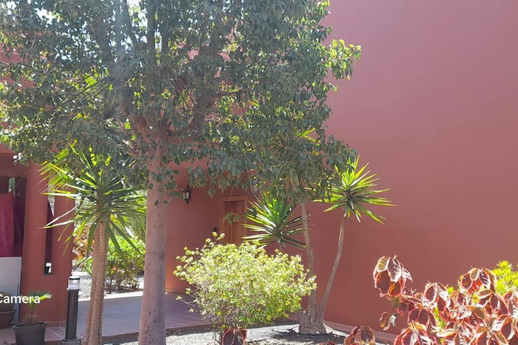 Apartment Cumbre Vieja Fuerteventura Corralejo Esterno foto