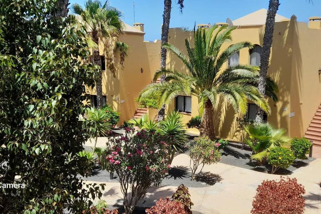 Apartment Cumbre Vieja Fuerteventura Corralejo Esterno foto